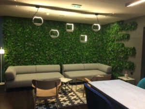 mur végétalisé salle d’attente